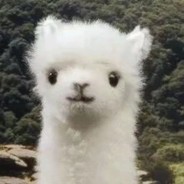 我只想做你的月亮