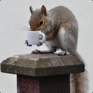 squirrelcoffeecup