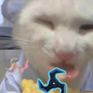 上学在班级遇到傻狗