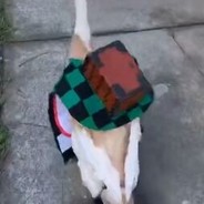 港最強借金伝説とsalutの潮男！陈冠三百希