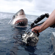 来射击场看我击靶