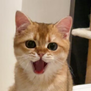 Коммунистическая