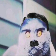 snakee didiloaica