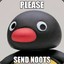 Noot Noot