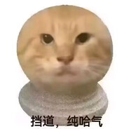 mega沙奈朵使用极巨踩踏