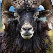 the old black ram - steam id 76561199067676664