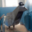 Pigeon from The Sky