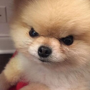 Kanoxo avatar