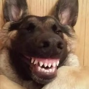 韩金龙含住韩金龙的龙