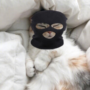 我再也不要垫底