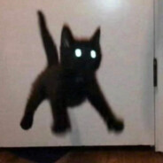 Pedroo