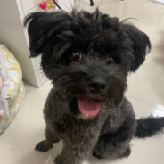 Lucky不是狙击手