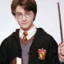 Вадя Potter