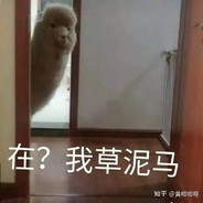 *************************