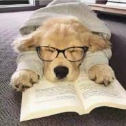 格斗就靠升龙拳