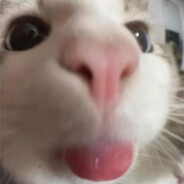 qlpik avatar
