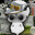 brEd Steam avatar