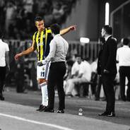 systematic chaos   -;-