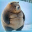 Autisthicc Bear