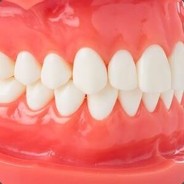 Big teeth bite大牙齿咬咬