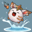 meo