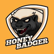 HoneyBadgerQ