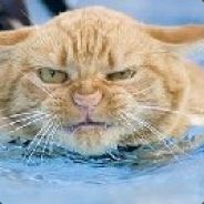 tidan75 - steam id 76561197961204436