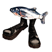 fishy avatar