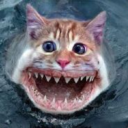 CaTFisH