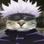 Gojo cat