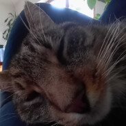 Maksim Kolbasa avatar