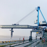 MV avatar