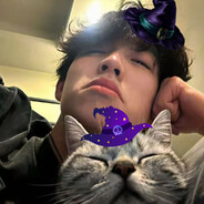 是我醒不来的梦