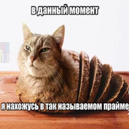 CurMa_y3bek? - steam id 76561199775686346