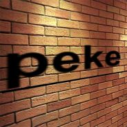 peke - steam id 76561197995798411