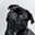 ☯ .stats pug