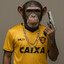 Chimpagiota