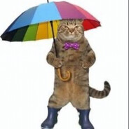 MEOW MASTER