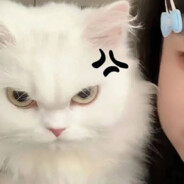 一只努力不肥宅的7