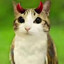 evil meowl