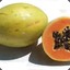 papaya