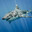 Great White