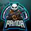 P_AND_A