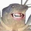 Semii