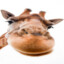 SGT_Cheese8839