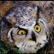 Cleck