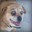 BORK BORK BORK