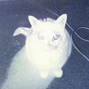 Avatar snapshot