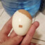 El Führegg