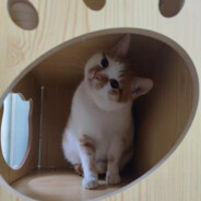 搞七搞八搞路亚